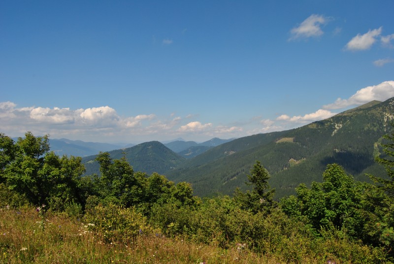 pepajs.cz